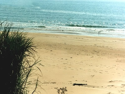 Uno scorcio della spiaggia di PlayaGrande